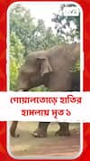 পশ্চিম মেদিনীপুরের গোয়ালতোড়ে হাতির হামলায় মৃত্যু ১ গ্রামবাসীর