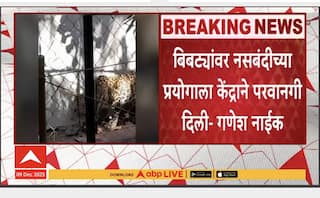 Ganesh Naik On Leopard : बिबट्यांवर नसबंदीच्या प्रयोगाला केंद्राने परवानगी दिली - गणेश नाईक