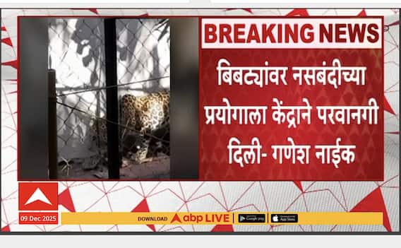 Ganesh Naik On Leopard : बिबट्यांवर नसबंदीच्या प्रयोगाला केंद्राने परवानगी दिली - गणेश नाईक