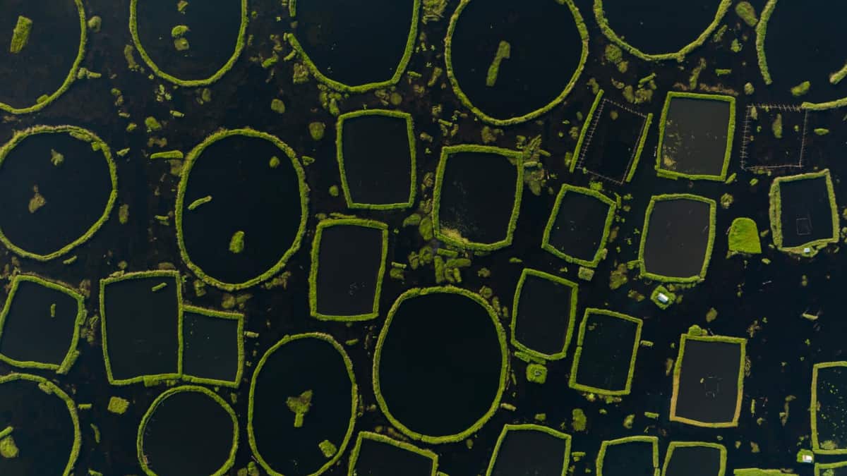 (Image Source: Twitter/@NatureIn_Focus)