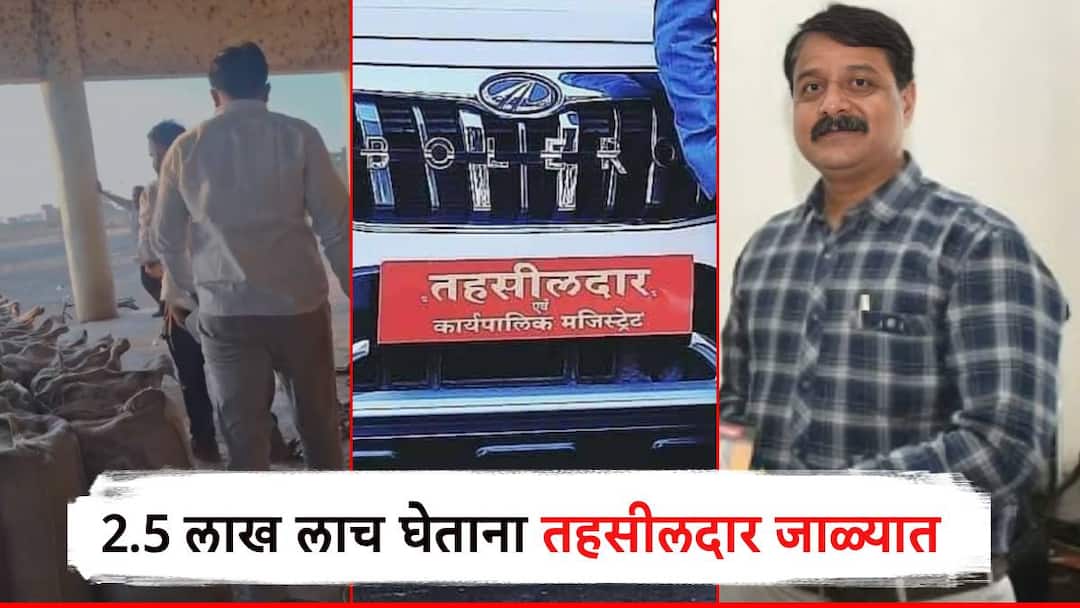 लाचखोर तहसीलदारास रंगेहात अटक; शेतकऱ्याकडून अडीच लाखांची लाच घेताना एसीबीच्या जाळ्यात Sinnar ACB trapped Tehsildars arrest bribe case 2.5 lakh rupees taking from farmers Police crime news लाचखोर तहसीलदारास रंगेहात अटक; शेतकऱ्याकडून अडीच लाखांची लाच घेताना एसीबीच्या जाळ्यात