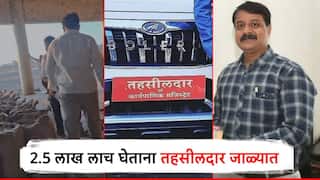 लाचखोर तहसीलदारास रंगेहात अटक; शेतकऱ्याकडून अडीच लाखांची लाच घेताना एसीबीच्या जाळ्यात