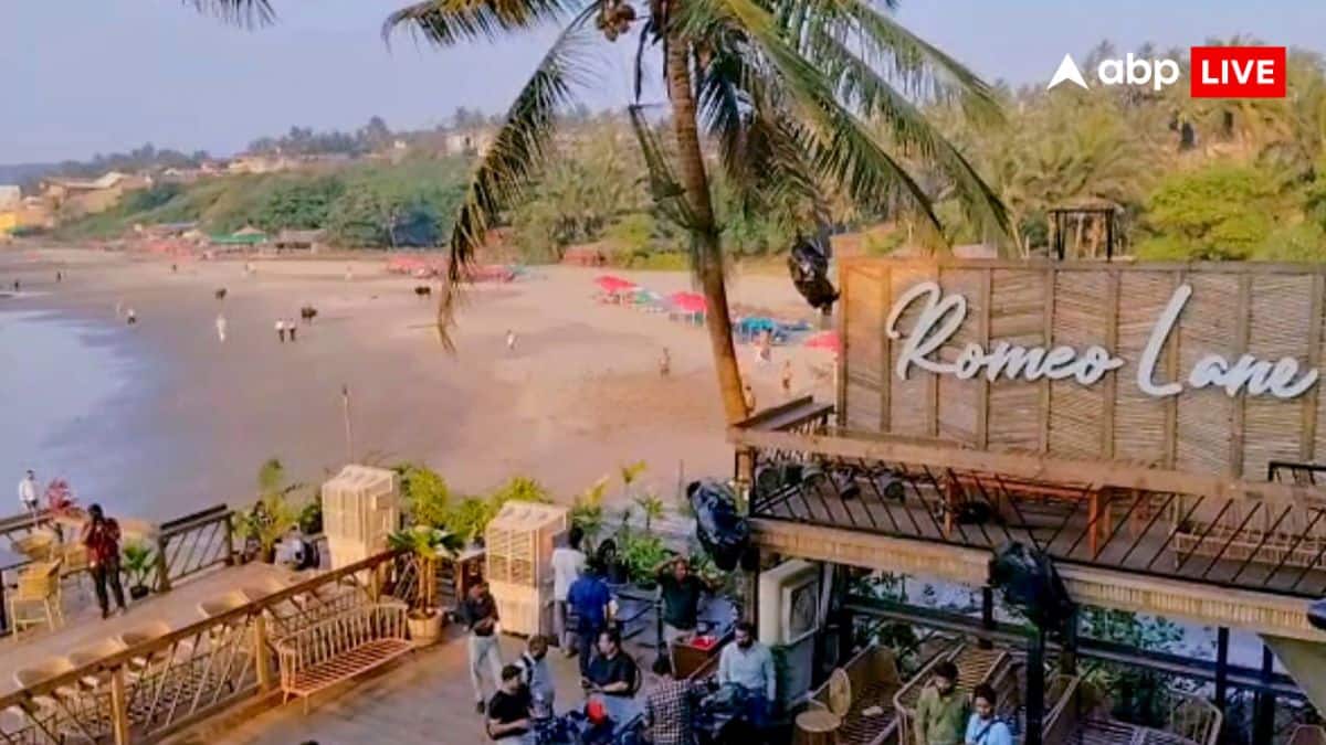 Direct Threat To Safety, Will Be Lynched In Goa: What Murder-Accused Luthra Brothers Told Delhi Court