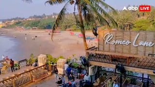 Direct Threat To Safety, Will Be Lynched In Goa: What Murder-Accused Luthra Brothers Told Delhi Court