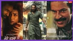 बुधवार को फिर 'धुरंधर' ने बॉक्स ऑफिस पर मचाई धूम, 'तेरे इश्क में' सहित जानें- बाकी फिल्मों का हाल