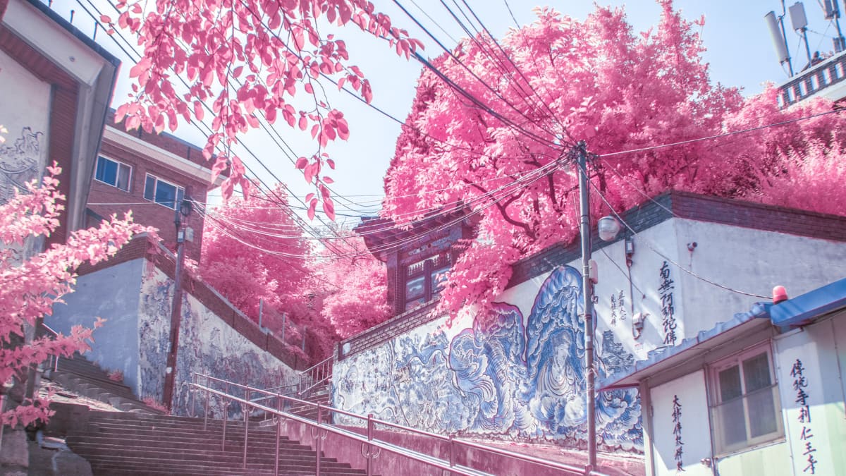 (Image Source: Twitter/@noealz)