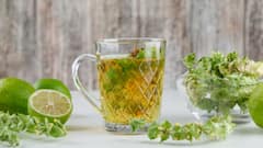 Green Tea: সকাল, বিকেল, না সন্ধে, গ্রিন টি কখন পান করা উচিত?