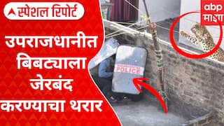 Nagpur Leopard : उपराजधानीत बिबट्याला जेरबंद करण्याचा थरार,बिबट्या दिसला कल्लाा झाला Special Report