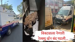 नागपुरातील बिबट्या पकडला, पण रेस्क्यू करणारी गाडीच बंद पडली; वन विभागाची लक्तरे वेशीवर