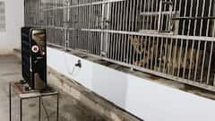 ठंड की मार! कंबल पर सो रहा अजगर, च्यवनप्राश खा रहा चिंपांजी, पटना जू में क्या-क्या व्यवस्था?