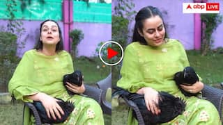 Video: IAS की बीवी ने खरीदे 2 कड़कनाथ मुर्गे, यूजर्स बोले- आज तो पार्टी होगी भाभी!
