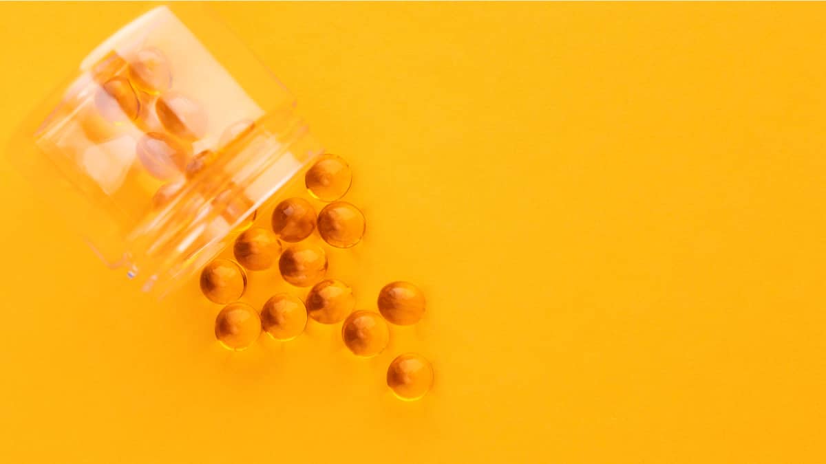 The Art of Baking: From Classic Bread to Artisan Pastries