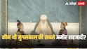 Mughal Emperor: मुगलकाल की सबसे अमीर शहजादी, पॉकेट मनी में मिलते हजारों करोड़, जानें कौन?