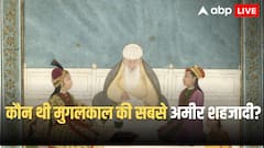 मुगलकाल की सबसे अमीर शहजादी, पॉकेट मनी में मिलते हजारों करोड़, जानें कौन?