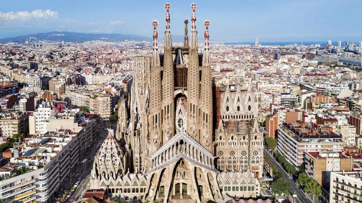 (Image Source: Twitter/@patobonato)