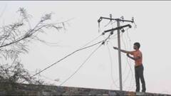 आपके एरिया में हो रही बिजली चोरी तो ऐसे करें शिकायत, इनाम देगी यह सरकार