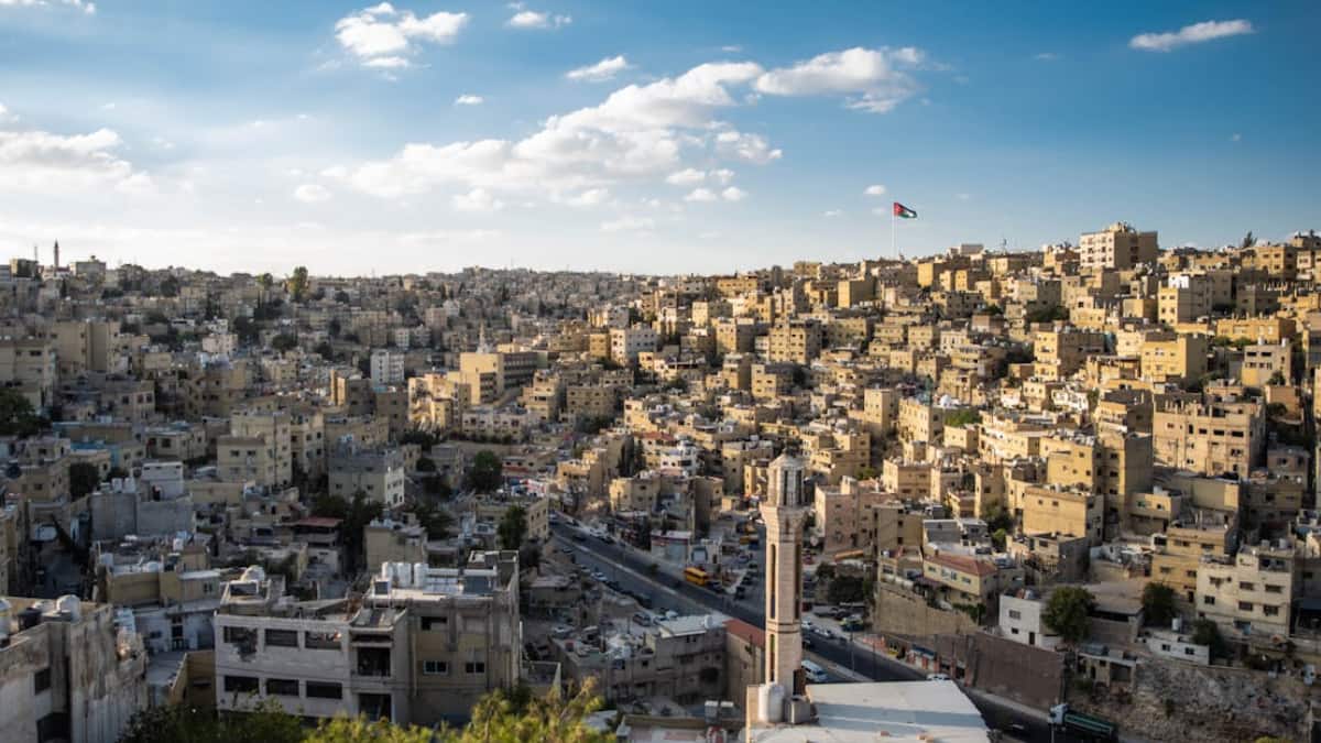 The Art of Baking: From Classic Bread to Artisan Pastries
