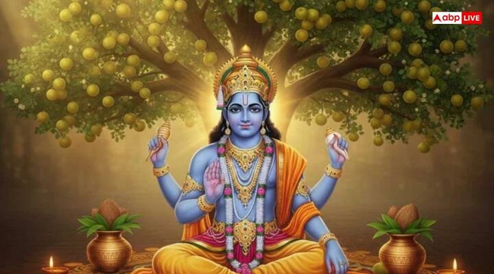 आंवला- आंवले वृक्ष की पूजा करने का शास्त्रों में महत्व बताया गया है. पद्म पुराण में आंवले की पूजा को हजार गौदान के बराबर माना जाता है. आंवले के नीचे दीप जलाने से भाग्य जागृत होता है.