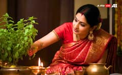 ਤੁਲਸੀ 'ਚ ਦਿਖ ਰਹੇ ਆਹ ਸੰਕੇਤ, ਤਾਂ ਸਮਝ ਜਾਓ ਹੋਣ ਵਾਲਾ ਕੁਝ ਬੁਰਾ