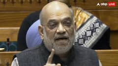 'દેશના પ્રધાનમંત્રી કોણ હશે તે ઘૂસણખોરો નક્કી નહીં કરે', સંસદમાં બોલ્યા અમિત શાહ 