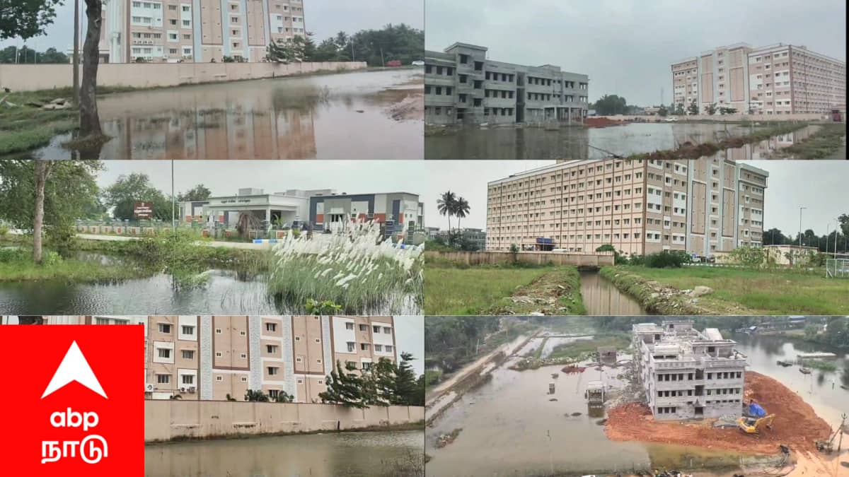 கலெக்டர் ஆபீஸ் -க்கே இந்த நிலைமைனா..அப்போ மாவட்டத்தின் மற்ற பகுதியின் நிலை..?