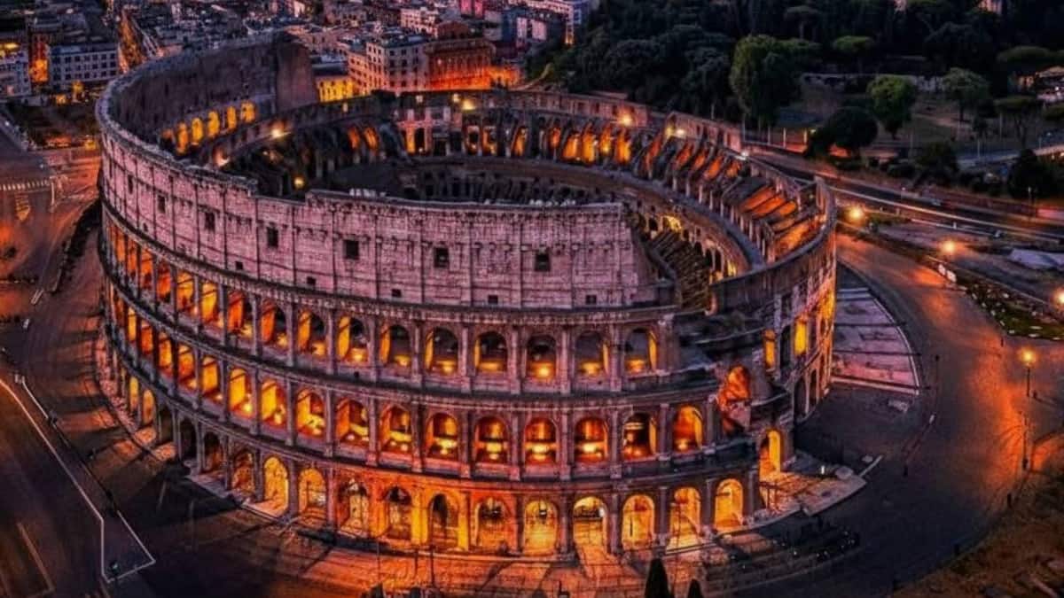 (Image Source: Twitter/@WildscapeWonder)