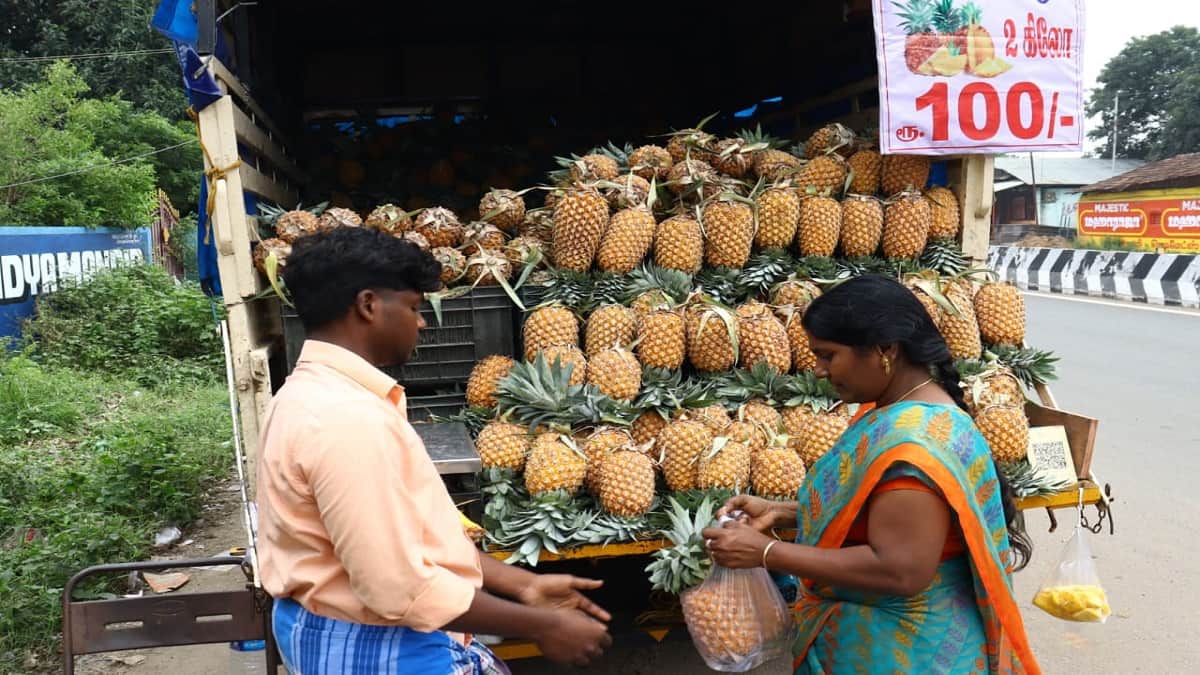 தஞ்சாவூரில் அட்டகாசமான விற்பனையில் சக்கைப்போடு போடும் அன்னாசிப்பழம்