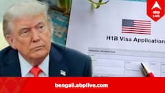 ৮৫০০০ ভিসা বাতিল করল আমেরিকা, H1B নিয়েও সংশয়, সমস্যা বাড়তে পারে ভারতীয়দের