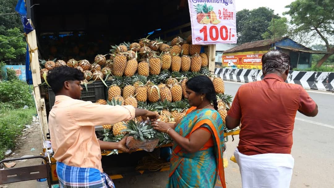 தஞ்சாவூரில் அட்டகாசமான விற்பனையில் சக்கைப்போடு போடும் அன்னாசிப்பழம்