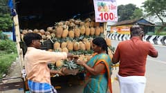 தஞ்சாவூரில் அட்டகாசமான விற்பனையில் சக்கைப்போடு போடும் அன்னாசிப்பழம்