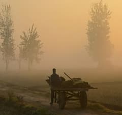 ਪੰਜਾਬ 'ਚ ਸ਼ੀਤ ਲਹਿਰ ਦਾ ਜ਼ੋਰ! ਮੌਸਮ ਨੂੰ ਲੈ ਕੇ ਵੱਡੀ ਚਿਤਾਵਨੀ...ਇਨ੍ਹਾਂ ਜ਼ਿਲ੍ਹਿਆਂ ਲਈ ਯੈਲੋ ਅਲਰਟ ਜਾਰੀ