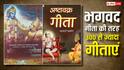 Bhagavad Gita के अलावा 300 गीताएं! जानिए जीवन के रहस्य और अष्टावक्र गीता का महत्व?