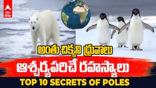 North Pole vs South Pole | ధృవాల గురించి ఈ విషయాలు తెలుసుకుంటే షాక్ అయిపోతారు | ABP Desam