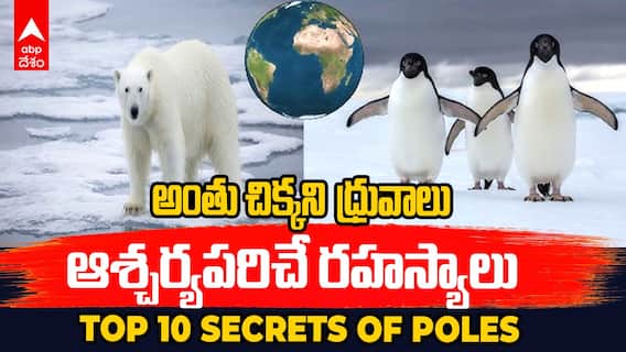 North Pole vs South Pole | ధృవాల గురించి ఈ విషయాలు తెలుసుకుంటే షాక్ అయిపోతారు | ABP Desam