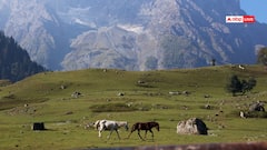 जम्मू-कश्मीर में बारिश न होने से सूखे के हालात, कड़ाके की ठंड के बीच मौसम विभाग की चेतावनी