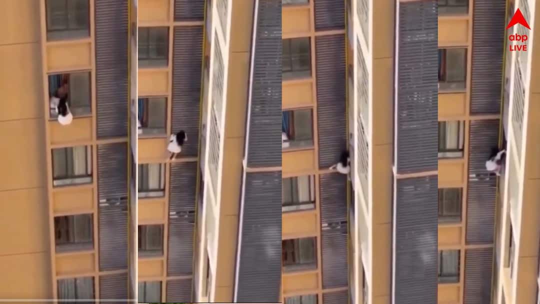 হঠাৎ হাজির প্রেমিকের স্ত্রী, ১০ তলার ব্য়ালকনি ধরে ঝুলে পড়লেন তরুণী, তার পর… ভিডিও ভাইরাল হঠাৎ হাজির প্রেমিকের স্ত্রী, ১০ তলার ব্য়ালকনি ধরে ঝুলে পড়লেন তরুণী, তার পর… ভিডিও ভাইরাল