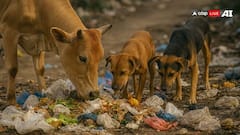 Animal Digestion: પ્રાણીઓ ગટરના પાણીથી લઈને કચરા સુધી બધું જ ખાય છે અને પીવે છે, તો પછી તેમનું પેટ ખરાબ કેમ નથી થતું?