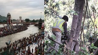 Nashik: साधूग्रामच्या 1800 झाडांचा प्रश्न सुटेना, त्यात पालिकेने कुंभमेळ्यातील STP प्रकल्पासाठी 300 झाडं तोडली; पर्यावरणप्रेमी झाडांवर चढली