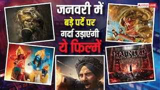 January 2026 Theatre Release: साल का पहला महीना होगा धमाकेदार, बड़े पर्दे पर रिलीज हो रहीं 6 बड़ी फिल्में, लिस्ट में सनी देओल की 'बॉर्डर 2' भी है शामिल