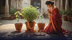 దారిద్ర్యం ,దుఃఖం తొలగించే చెట్లు ఇవి! వీటిని పూజించడం వెనుకున్న శాస్త్రీయ రహస్యం తెలుసుకోండి!