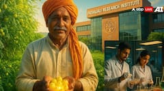 ਆਂਵਲਾ ਦੇ ਬੀਜ ਨਹੀਂ ਹੁੰਦੇ ਬੇਕਾਰ, ਜਾਣੋ ਕਿਵੇਂ ਜਵਾਨੀ ਨੂੰ ਰੱਖਦੇ ਬਰਕਰਾਰ ? ਪਤੰਜਲੀ ਦੀ ਖੋਜ ਨੇ ਦੁਨੀਆ ਨੂੰ ਕੀਤਾ ਹੈਰਾਨ...