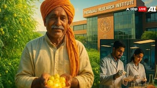 Benefits of Amla Seeds: ਆਂਵਲਾ ਦੇ ਬੀਜ ਨਹੀਂ ਹੁੰਦੇ ਬੇਕਾਰ, ਜਾਣੋ ਕਿਵੇਂ ਜਵਾਨੀ ਨੂੰ ਰੱਖਦੇ ਬਰਕਰਾਰ ? ਪਤੰਜਲੀ ਦੀ ਖੋਜ ਨੇ ਦੁਨੀਆ ਨੂੰ ਕੀਤਾ ਹੈਰਾਨ...