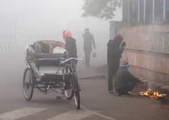 Gujarat Weather: રાજ્યમાં આગામી 5 દિવસ કાતિલ ઠંડીની આગાહી, જાણો હવામાન વિભાગનું લેટેસ્ટ અપડેટ