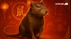 Chinese Horoscope Rat: क्या आप भी हैं चूहे वर्ष में जन्मे? जानें आपकी किस्मत, स्वभाव और कमजोरियां!