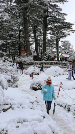 हिमाचल में क्रिसमस के समय स्नोफॉल में कहां करें पार्टी?