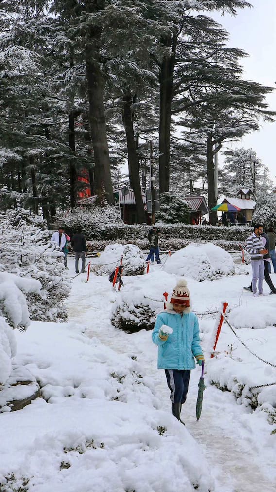 हिमाचल में क्रिसमस के समय स्नोफॉल में कहां करें पार्टी?
