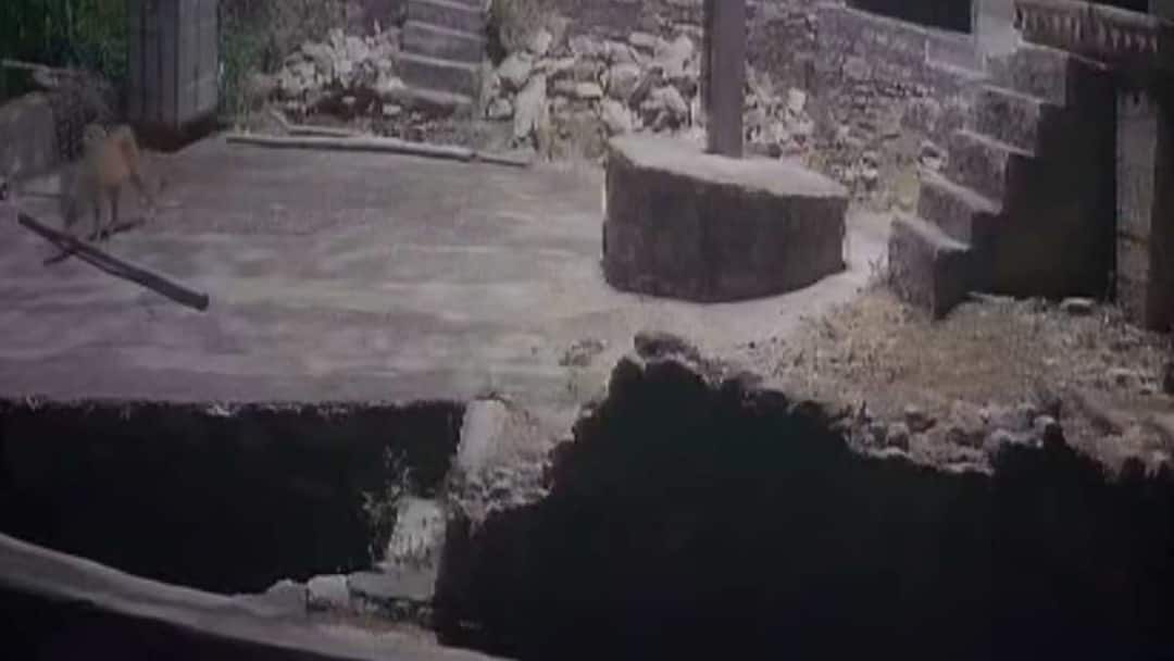 राजस्थान: जयपुर के बाद अब टोंक में भी दिखा लेपर्ड, स्थानीय लोगों में डर का माहौल After being spotted in Jaipur a leopard has now appeared in Tonk and its movement was captured on CCTV ann राजस्थान: जयपुर के बाद अब टोंक में भी दिखा लेपर्ड, स्थानीय लोगों में डर का माहौल