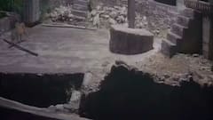 राजस्थान: जयपुर के बाद अब टोंक में भी दिखा लेपर्ड, स्थानीय लोगों में डर का माहौल