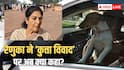 'किसी सांसद को कुत्ता नहीं... कुत्तों का अपमान', रेणुका चौधरी के नए बयान से माहौल गरमाया