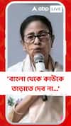 'বাংলা থেকে কাউকে তাড়াতে দেব না', কৃষ্ণনগরে সভায় গিয়ে অমিত শাহকে আক্রমণ মমতার